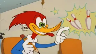 Pinheads | Woody the Woodpecker | Cartoons for Kids | WildBrain Bananas