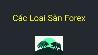 Sàn Forex là gì - Các loại sàn giao dịch Forex | Kiến Thức Trade