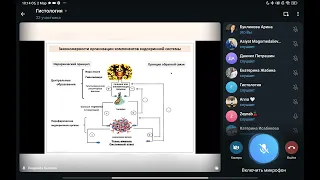 Эндокринная система. Лекция по гистологии. 02.03.2024