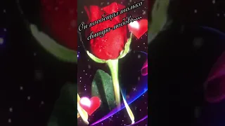 Он пообещал только святую любовь...