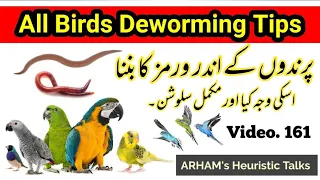 Deworming of Birds, Reasons and Solutions in Urdu / Hindi by |ARHAM|., Vdo. 161