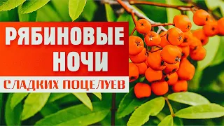 ПЕСНЯ ПРОСТО ОГОНЬ! РЯБИНОВЫЕ НОЧИ ✮ Александр Закшевский