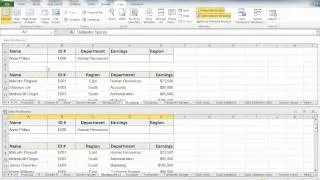 View two Excel worksheets at the same time.