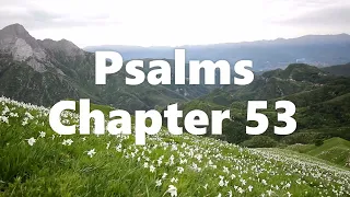 The Book of Psalms Chapter 53 - New King James Version (NKJV) - Audio Bible