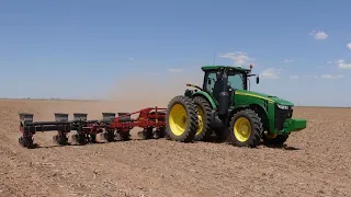 First Day of Cotton Planting 2024