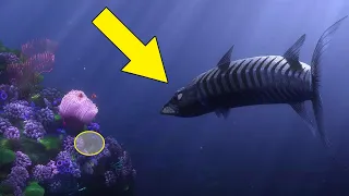 What Finding Nemo Was REALLY About | Clues Were Strikingly Obvious Throughout The Movie