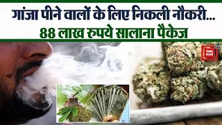 Ganja पीने वालों को 87 लाख का सैलरी पैकेज|Company Offer Jobs |Cannabis Jobs