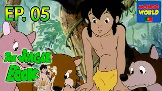 O LIVRO DA SELVA série animada | em Português | desenhos animados para crianças | episódio 05