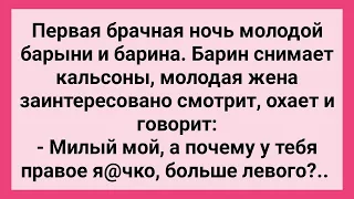 Барыня Охнула, когда Барин Снял Кальсоны в Брачную Ночь! Сборник Свежих Смешных Жизненных Анекдотов!