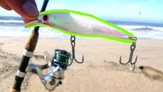 PESCA DE PLAYA con MINNOW || JERKBAIT || media agua || COMO PESCAR DE ORILLA.