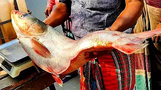 Incredible Giant Silver Carp Fish Cutting in Bangladesh | Fastest Fish Cutting Skills