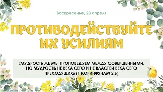 Противодействуйте их усилиям