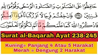 Tadarus Surat al-Baqarah Ayat 238-245, Ada Warna Tanda Panjang & Dengung Agar Lancar Baca al-Quran