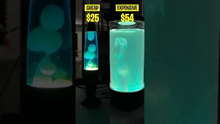 Testing Cheap vs. Expensive Lava Lamps