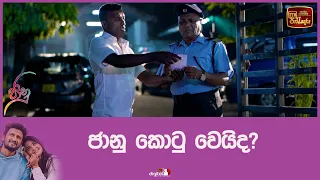 ජානු කොටු වෙයිද?