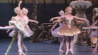 The Sleeping Beauty ballet   Tchaikovsky