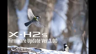 X-H2S FW3.00 x Tadateru Takahashi/ FUJIFILM