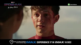 Spider-Man: No Way Home IMAX 30s TV Spot