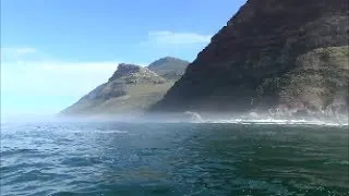 A cruise to Duiker Island, from Hout Bay. Seal Island. Cape Town, South Africa