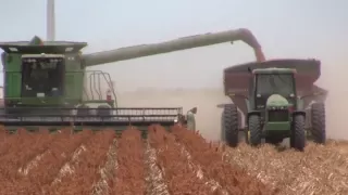 2012 South Texas Grain Sorghum Harvest