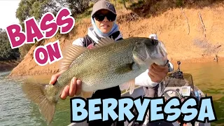 STACY'S QUICK FISHING TRIP TO LAKE BERRYESSA - Big Panfish & A Largemouth Bass I Thought Was a Trout