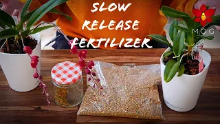 Slow Release Fertilizer with Orchids | How & why I use it, results & more!