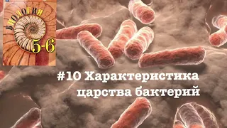 Биология 5 класс аудио параграф 10 «Характеристика царства бактерий»