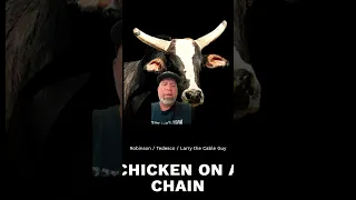 RIP Chicken On A Chain. An ICON # #rodeo #shorts #greenscreen #bullriding #upload #rip 🤠🐂🙏🏼