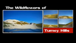 Pavement to Paradise Off-Roading: Tumey Hills