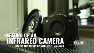 Testing Out An IR Camera | Behind the Scenes of Wildlife Filmmaking