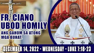 December 14, 2022 - Ang gahom sa atong mga buhat. Fr Ciano Ubod Homily - Lk. 7:18-23