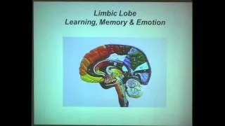 The Neuroscience of Learning and Memory