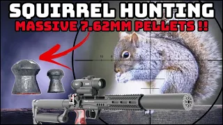 Squirrel Hunting (Massive 7.62mm Pellets!)