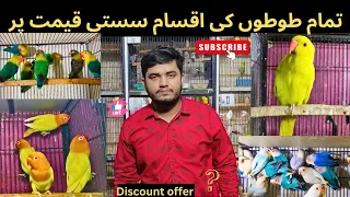 Complete Parrots variety|| Parrot market Pakistan || Lahore Canal Birds Market