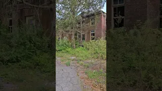 Abandoned  Asylum with chirping birds.
