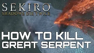 Sekiro Shadows Die Twice HOW TO KILL THE GREAT SERPENT