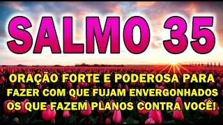 ((🔴))  SALMO 35 ORAÇÃO MUITO FORTE PARA FAZER COM QUE FUJAM ENVERGONHADOS OS QUE QUE TE PERSEGUEM!