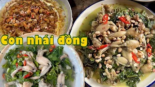 Thương nhớ VŨ ĐIỆU ĐỒNG QUÊ - Những món ngon từ con nhái quê nhà | Đặc sản miền sông nước