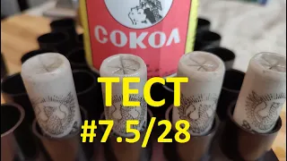 #7.5/28 на Соколе. Капсюля сх1000, сх2000. Прогресс & Billman. Тестовый отстрел.