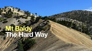 Hike Mt Baldy on the Bear Canyon Trail