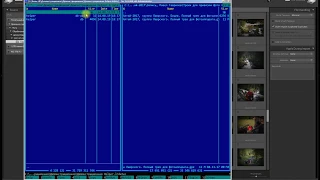 Лекция по работе с Lightroom часть 2 (импорт фото в базу, геопривязка, правильное переименование)