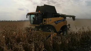 New Holland CR9090 harvest corn