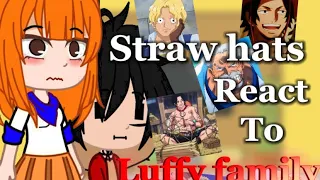 Past straw hats react to luffy family (read description please!!!)+vivi