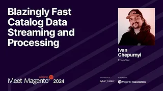 Blazingly Fast Catalog Data Streaming and Processing (Ivan Chepurnyi)