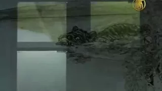 Giant Monster Caught on Film Tape in Sweden Lake