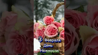 3 февраля день Нежности