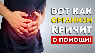 Болит живот? Вот как быстро узнать причину (Это пригодится)