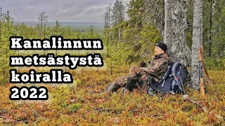 Kanalinnun metsästystä koiran kanssa  2022