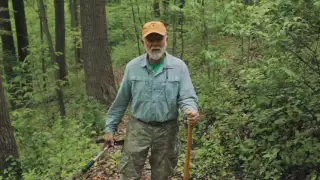 Expert Opinions on Tick Bite Prevention on the Appalachian Trail
