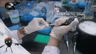 Creating Synthetic Life